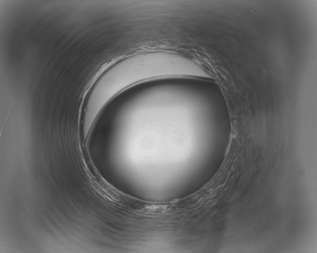 X0000055970052200508190714