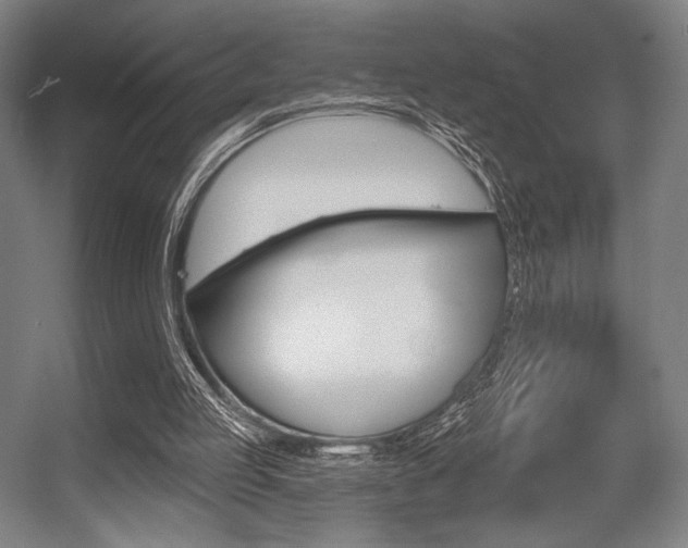 X0000055970053200508190714