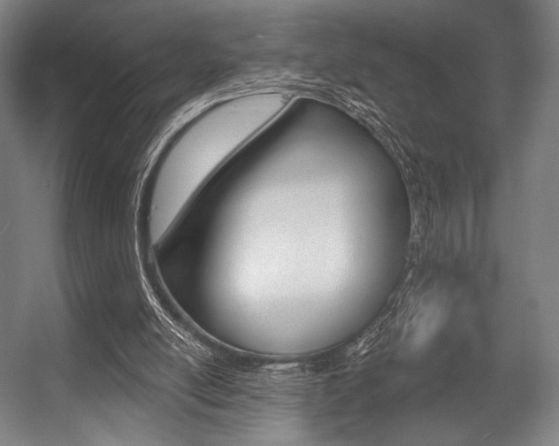 X0000055970054200508190714