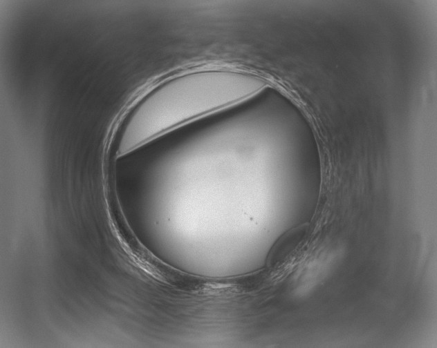 X0000055970055200508190714