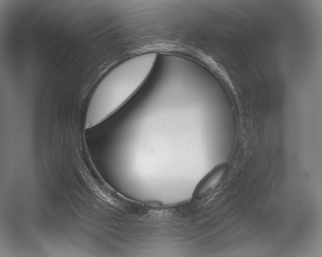 X0000055970057200508190714