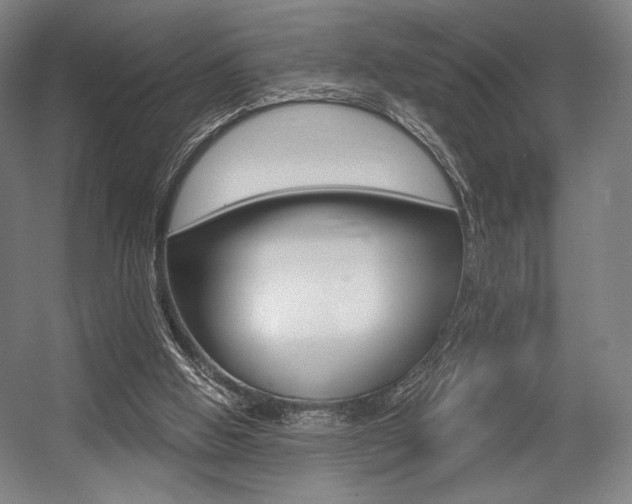 X0000055970058200508190714