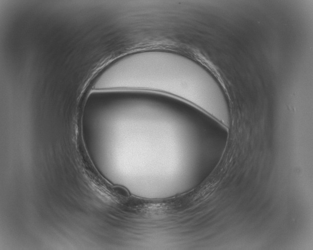 X0000055970059200508190714