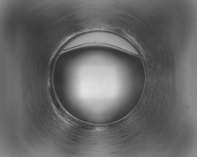 X0000055970060200508190714