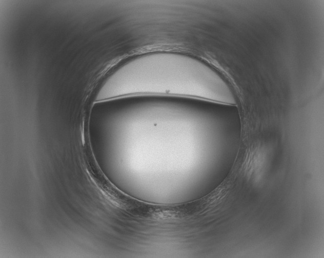 X0000055970062200508190714