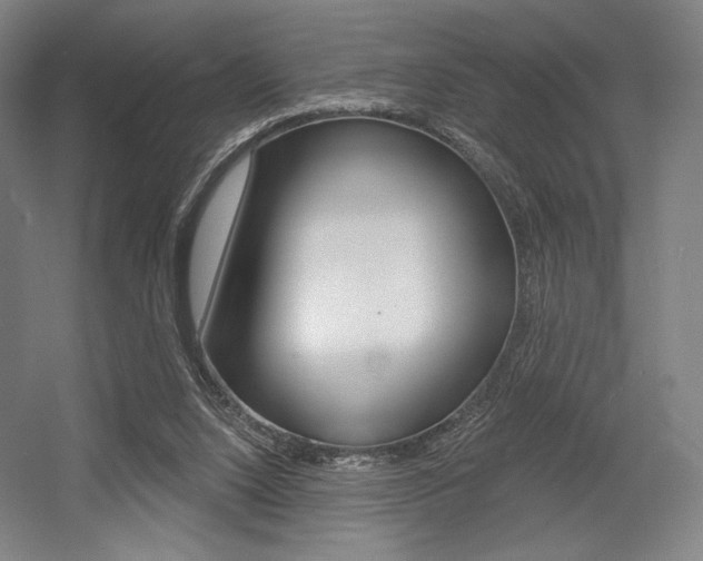 X0000055970064200508190714