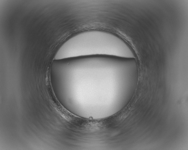 X0000055970065200508190714