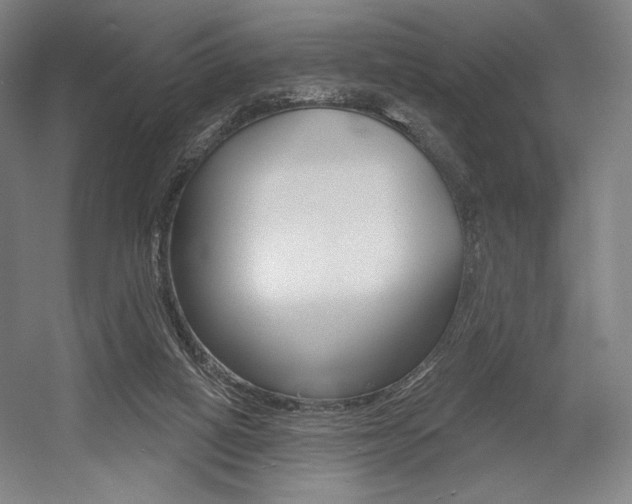 X0000055970066200508190714
