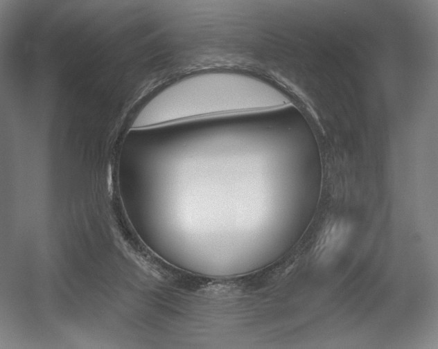 X0000055970067200508190714