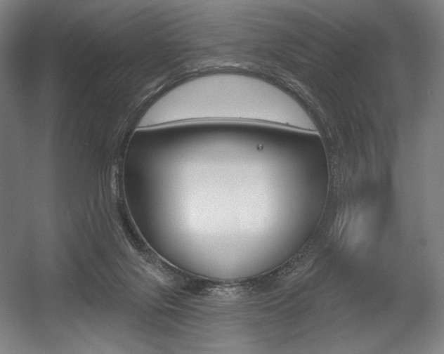 X0000055970071200508190714
