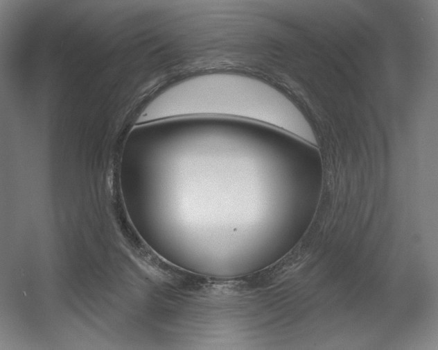 X0000055970072200508190714