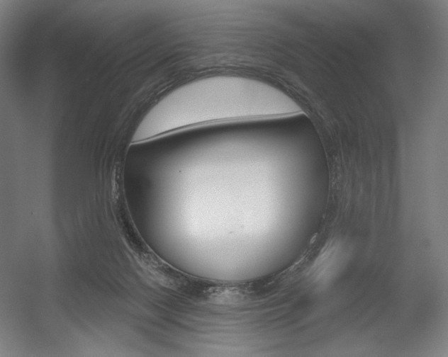 X0000055970074200508190714