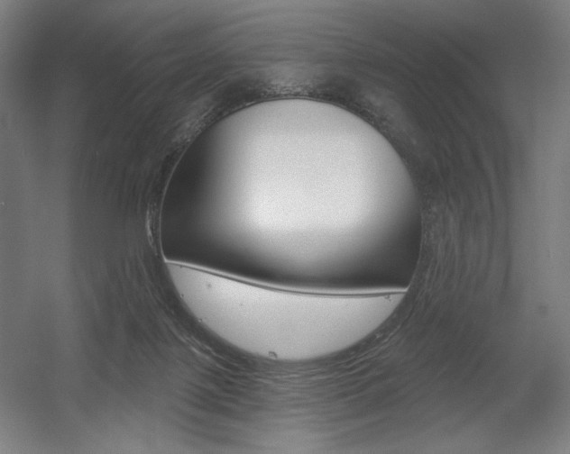 X0000055970075200508190714
