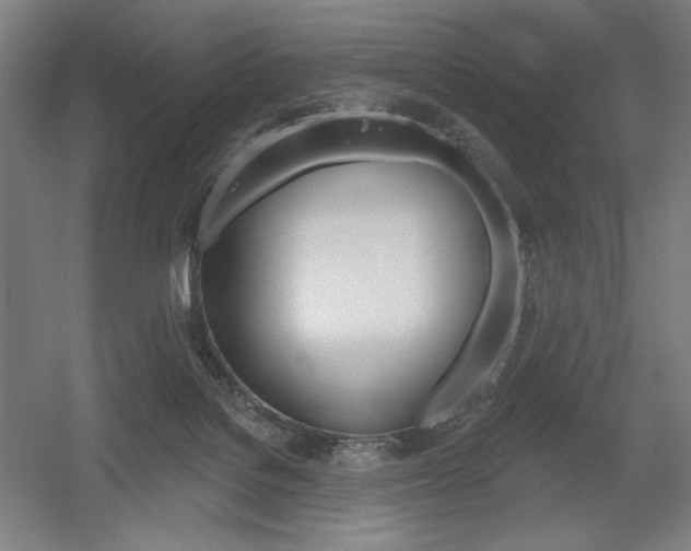 X0000055970076200508190714