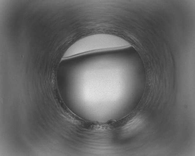 X0000055970077200508190714
