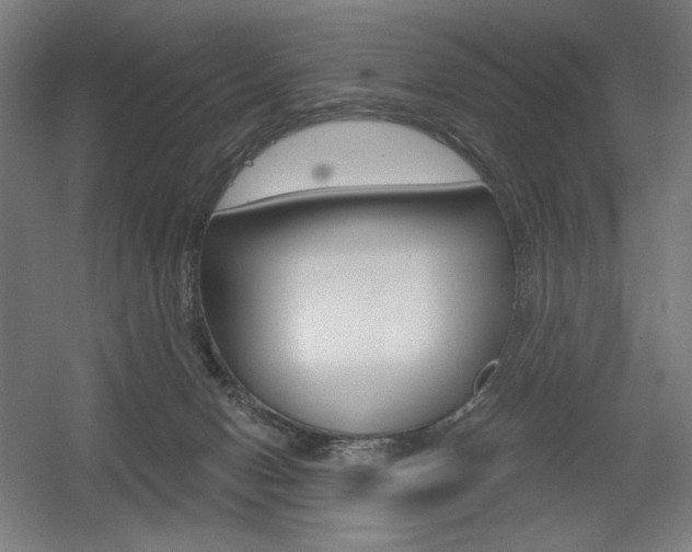 X0000055970078200508190714