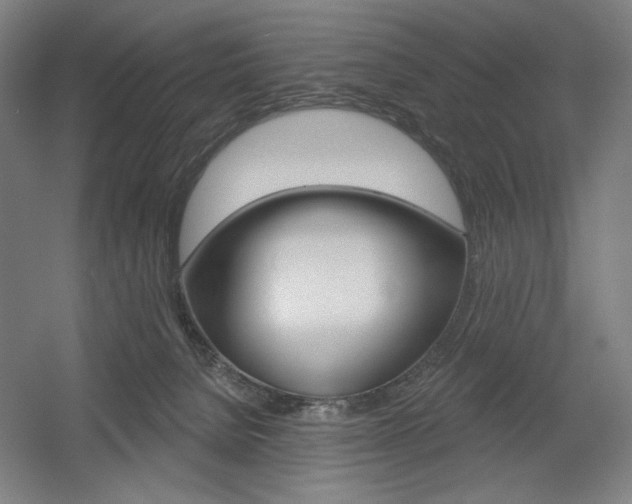 X0000055970080200508190714