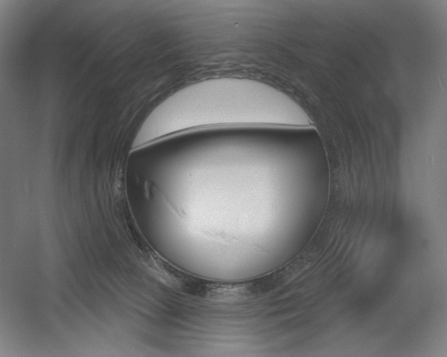 X0000055970081200508190714