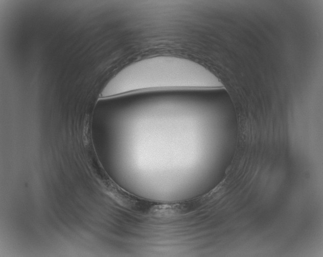 X0000055970082200508190714
