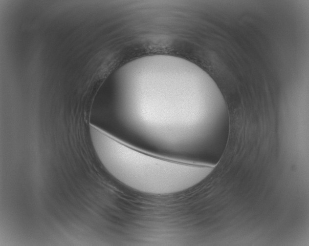 X0000055970083200508190714