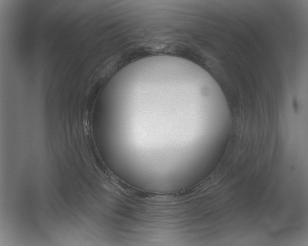 X0000055970085200508190714