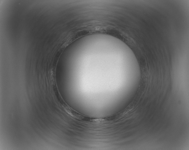 X0000055970087200508190714
