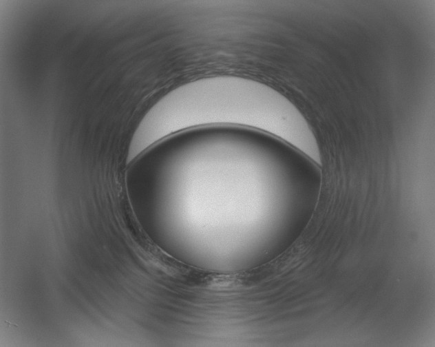 X0000055970088200508190714