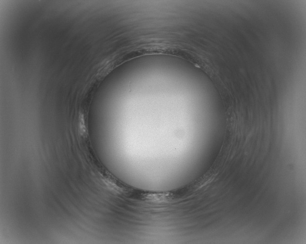 X0000055970089200508190714