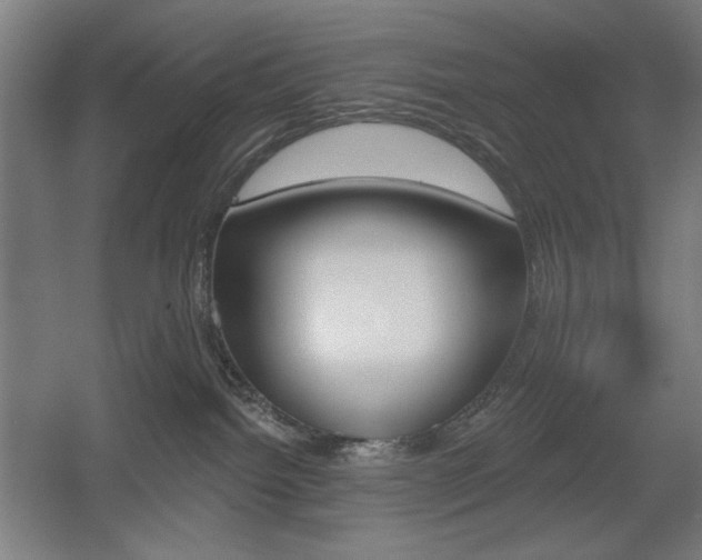X0000055970092200508190714