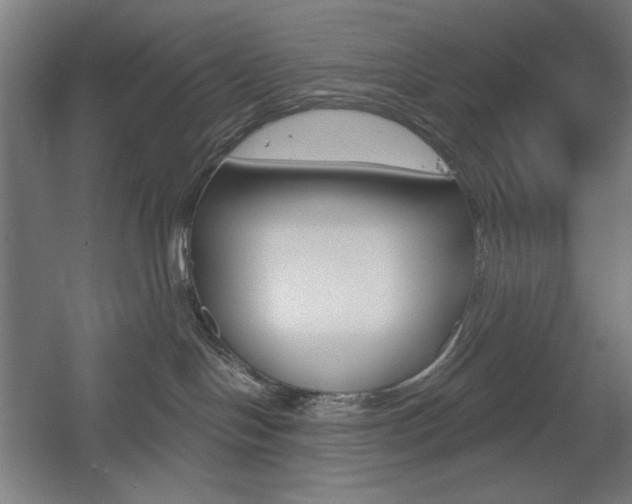X0000055970094200508190714