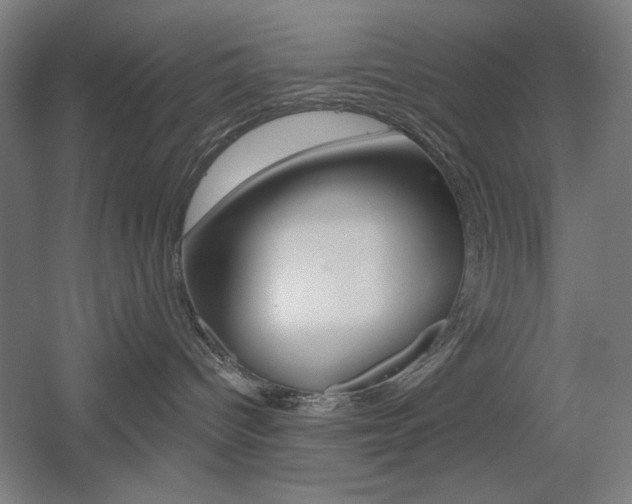 X0000055970096200508190714
