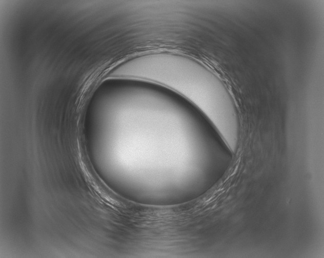 X0000055970097200508190714