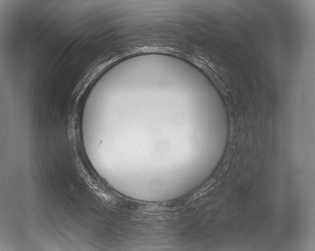 X0000055970098200508190714