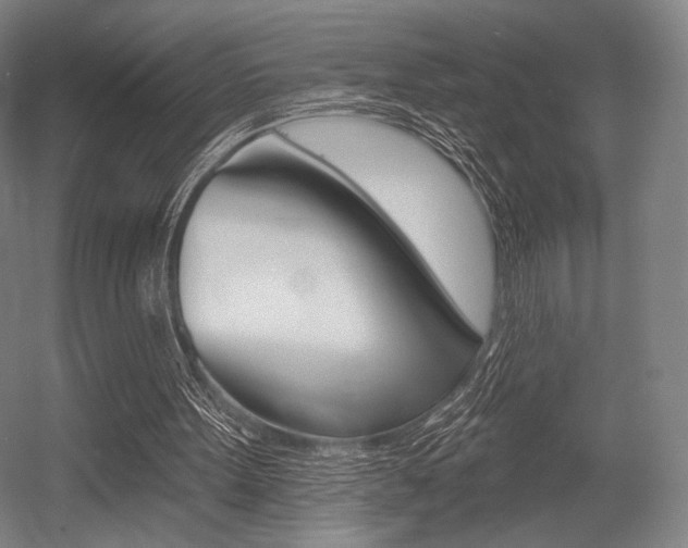 X0000055970099200508190714