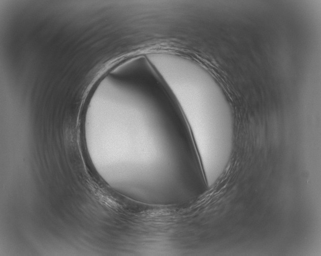 X0000055970100200508190714