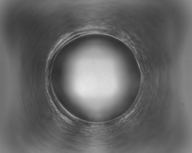 X0000055970101200508190714