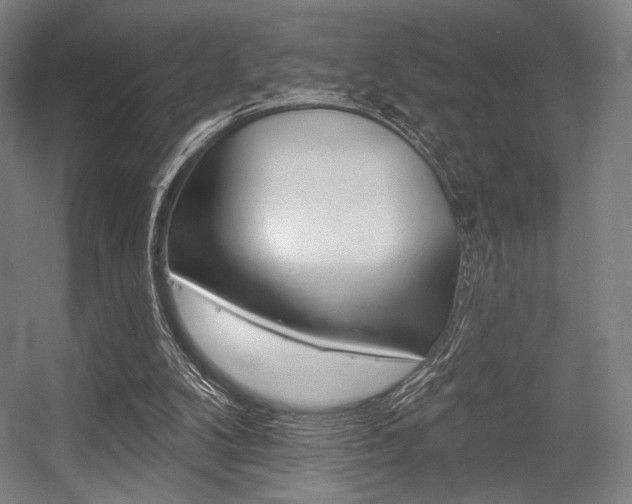 X0000055970104200508190714
