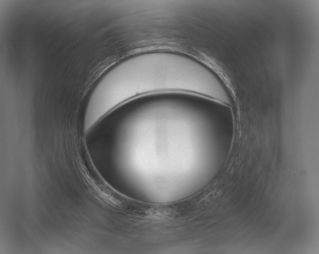 X0000055970105200508190713