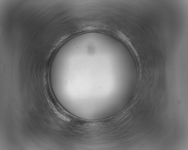 X0000055970106200508190713