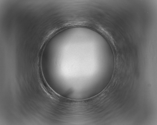 X0000055970107200508190713