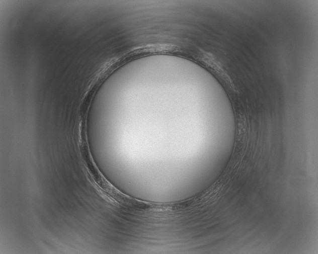 X0000055970110200508190713