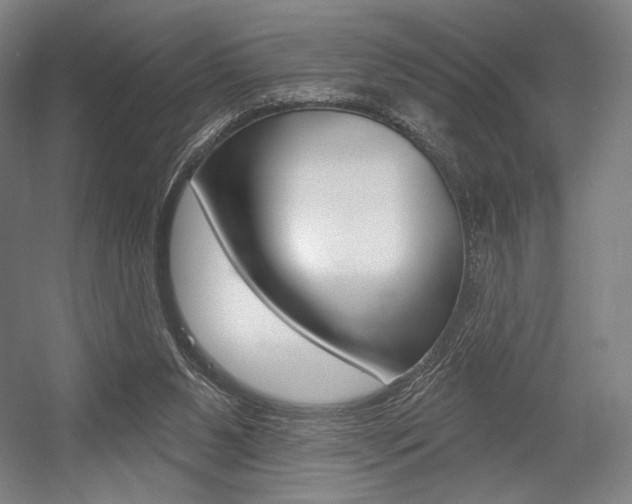 X0000055970111200508190713