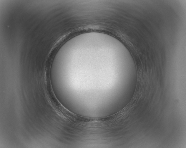 X0000055970112200508190713