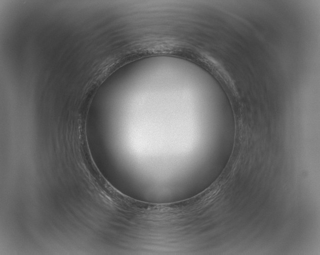 X0000055970113200508190713