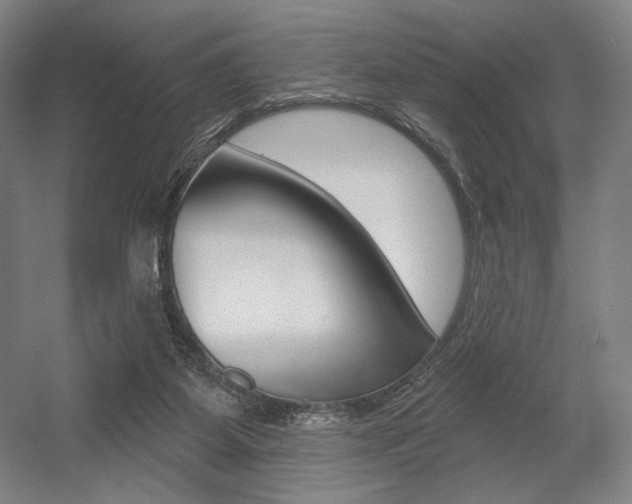 X0000055970115200508190713