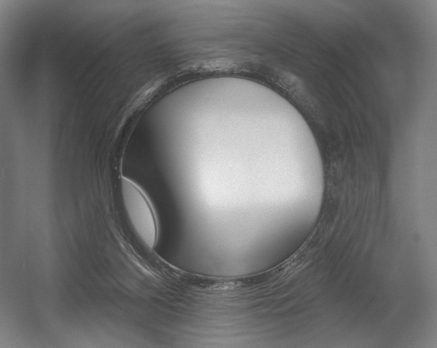 X0000055970116200508190713