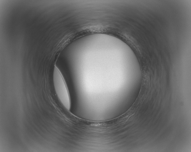 X0000055970117200508190713
