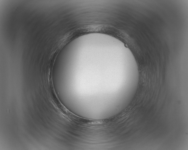 X0000055970118200508190713