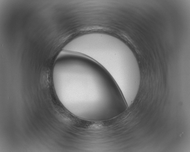 X0000055970119200508190713
