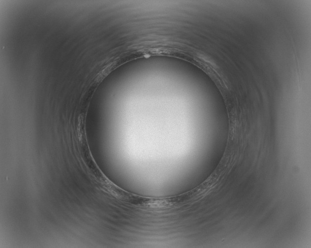 X0000055970121200508190713